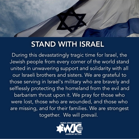 Magnolia Pearl OOAK Star of David quilted Coat (CHARITY) OS NWT - Picture 4 of 15